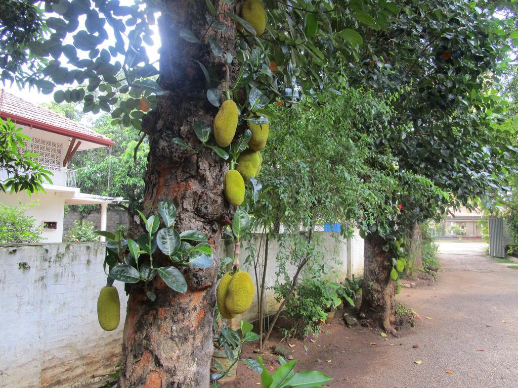 Hotel Shalini Anuradhapura Exterior foto